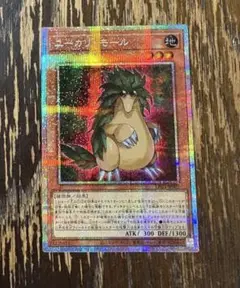 遊戯王　ユーカリ・モール　プリシク