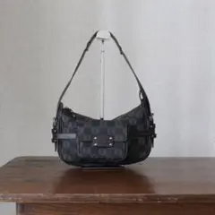 希少 美品 LOEWE ロエベ アナグラム レザー ショルダーバッグ ポーチ