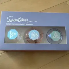 【最安値】SEVENTEEN ミニカラットキーリング ペンライト【即時購入のみ】