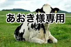 画像内容