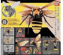 いきもの大図鑑　すずめばち01、02、とっくりばち6体セット