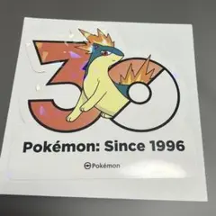 韓国 ポケモン 30周年ロゴ ステッカー ヒノアラシ - メルカリ