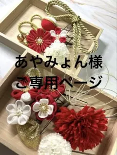 あやみょん様ご専用ページ