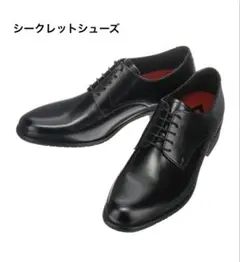 青山　+6cm プレーントゥシューズ ビジネスシューズ オケージョンのサムネイル