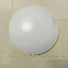 シーリングライト 蛍光灯 コイズミ 直径約55cm