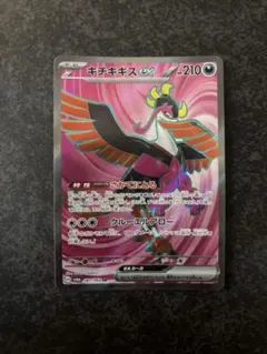 2025年最新】キチキギスex srの人気アイテム - メルカリ