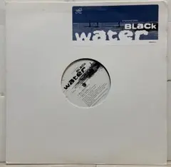 a hundred birds Black Water 12インチレコード