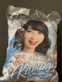 辻野かなみ　クッション