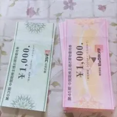 ビックカメラ　コジマ　株主優待　25000円分