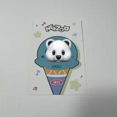 NEXZ ハル スクラッチ メッセージカード ポップアップ POPUP