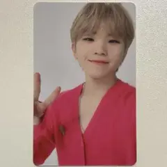 SEVENTEEN シーグリ 2022 ウジ トレカ