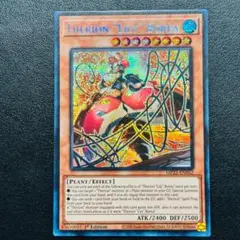 遊戯王カード 英語版 1st セリオンズリリーボレア MP23 シークレットレア