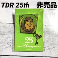 ディズニーリゾート　ピンバッジ　希少品 極美品】ディズニーリゾートクルーザー ピンバッジ 希少品 レア