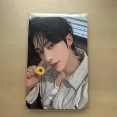 リッキー　ヨントン MusicKorea 花トレカ ゼベワン