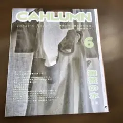 CAHLUMN MAGAZINE 長谷川昭雄　6 雑誌　カウラム マガジン