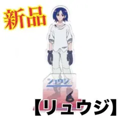 新品【リュウジ】機動戦士ガンダムジークアクススタンド付きビッグアクリルフィギュア