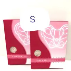 ❤️X'masセール　新品 正規品 芦屋美整体 S ピンクベージュ ２枚