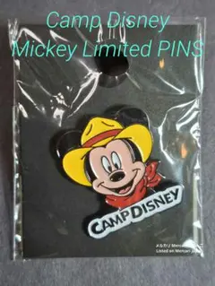 2025年最新】ディズニーリミテッドピンバッチの人気アイテム