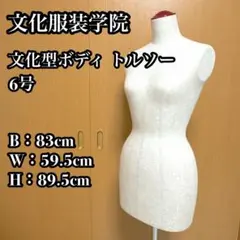 【美品】文化服装学院 文化型ボディ トルソー ヌードボディ マネキン 6号 婦人