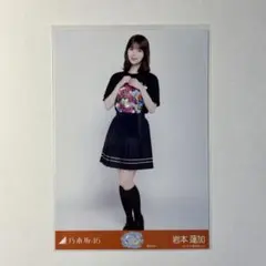 岩本蓮加 乃木坂46 生写真 真夏の全国ツアー2026 東京Tシャツ ヒキ