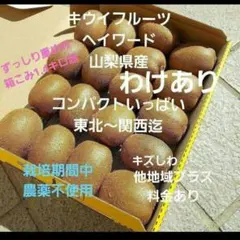 ❇️3キウイフルーツ　　わけあり　小玉　箱いっぱい　コンパクト　山梨県産