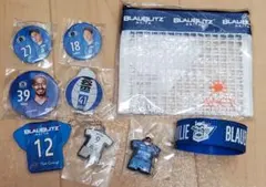 BLAUBLITZ AKITA 応援グッズセット