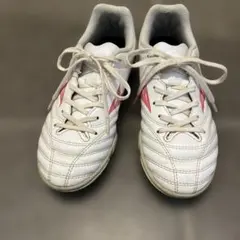 トレシュー 21.5