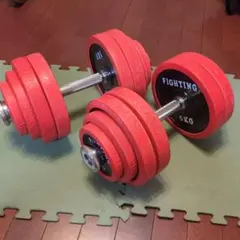 【送料込み】同時購入限定　ファイティングロード　ダンベル③　30kg×２