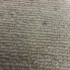 Item thumbnail for item 202b8b1c-e898-4110-a6da-ff1fb1488053