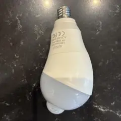 ASSEUI LEDセンサー電球 人感センサー付