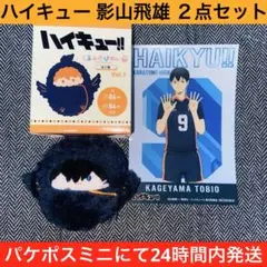 ハイキュー くるみたぴぬい アニメイト限定 非売品 ポストカード 影山飛雄