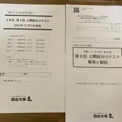 2024年12月 小4公開組分けテスト