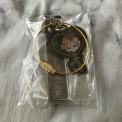 あくねこ テディ 鍵型アクリルチャーム キーホルダー