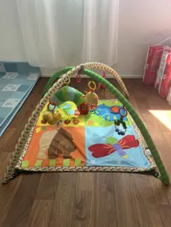日本育児 はらぺこあおむし アクティビティ プレイジム