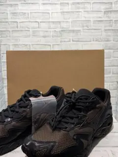 未使用　VAINL ARCHIVE MIZUNO WAVE RIDER 10