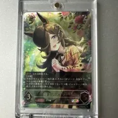 シャドウバースエボルヴ　ライスシャワー　SP 2025年最新】ライスシャワー シャドバの人気アイテム - メルカリ