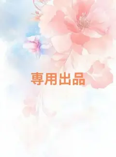 専用出品