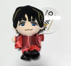 WEST. 藤井流星 ぬいぐるみ ちびスト AWARD　タグ付き中古