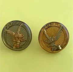 ディズニー  2000年  記念  非売品ピンバッチ  2個セット