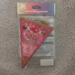 ディズニー キャラクターグッズ