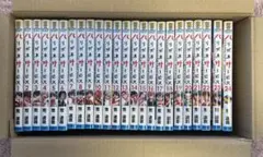 ハリガネサービス 全24巻セット