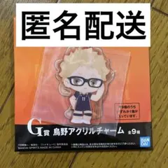 ハイキュー　一番くじ　G賞　月島
