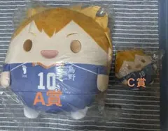 ハイキュー!! くじメイト ぬいくじ A賞 Ｃ賞 日向翔陽 ふわコロりん メガ