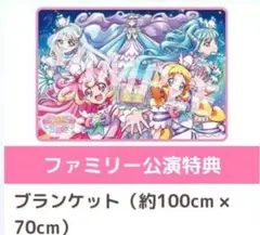 わんだふるぷりきゅあ 感謝祭 ブランケット 2025年最新】プリキュア 感謝祭 ブランケットの人気アイテム