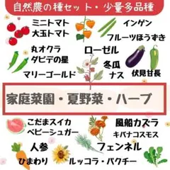 ˚✧₊⁎ MakeS⁎⁺˳✧༚様 リクエスト 2点 まとめ商品