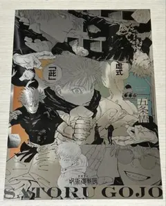 しろねこ様 リクエスト 2点 まとめ商品