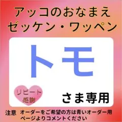 トモさま専用 おなまえゼッケン アイロン接着 №8449