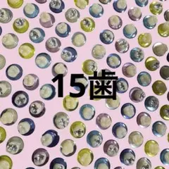 歯シール 歯イルシール 歯 ミックス3セット