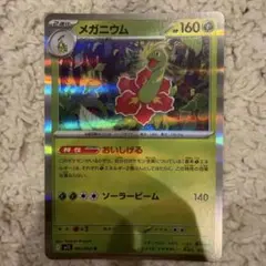 포켓몬 カード メガニウム