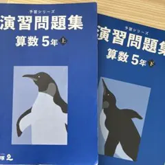 四谷大塚 5年上予習シリーズ/演習問題集、算数・社会・理科/算数夏期
